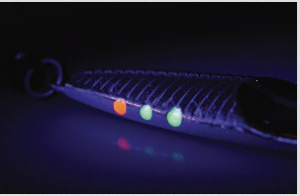 Savage gear Seeker Isp 102mm 28 gr Fluo Green Yellow Suni Yem