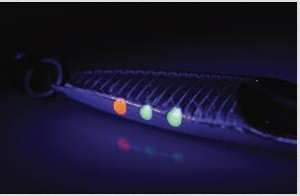 Savage Gear Seeker ISP 68mm 12g NL Suni Yem Fluo UV Green Yellow