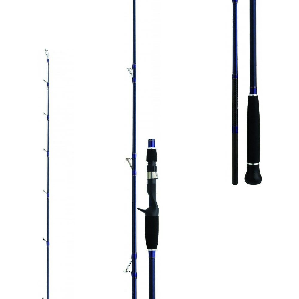 Daiwa EXCELER OCEANO 1.98M, 250GR, 2P TETİKLİ JIG KAMIŞ