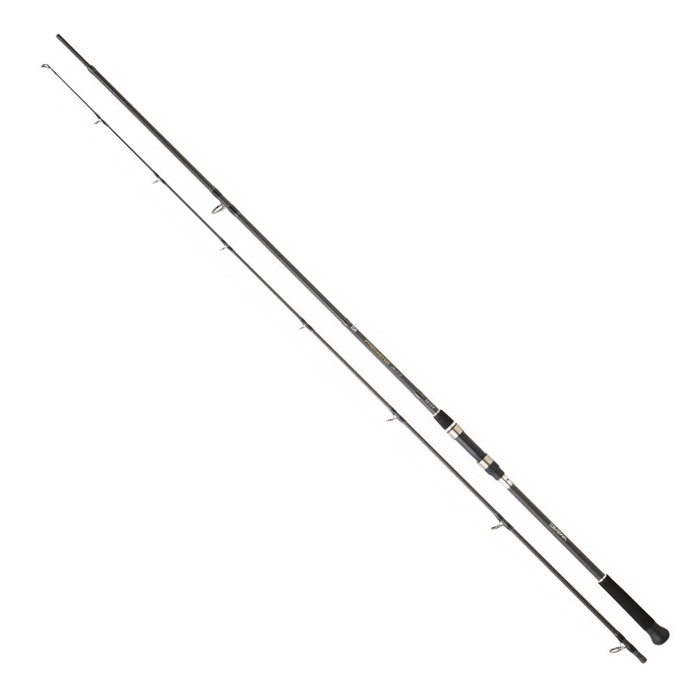 Daiwa Procaster Game III 3.00m 60-120gr 2P Shorejig Kamış
