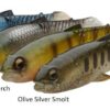 Savage Gear Craft Cannibal Paddletail 12.5 cm 20 gr Clear Water Mix 4 Adet