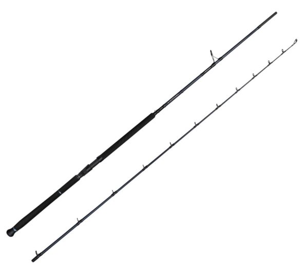 savage-gear-defiance-sg2-shore-jig-2-90m-15-60gr-2-parca-olta-kamisi-109150.jpg Savage Gear Defiance SG2 Shore Jig 2.90m 15-60gr 2 Parça Olta Kamışı