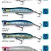 savage-gear-gravity-popper-9cm-13-5gr-106420.jpg Savage Gear Gravity Popper 9cm 13.5gr