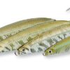 savage-gear-seeker-isp-102mm-28g-sahte-balik-87142.jpg Savage gear Seeker Isp 102mm 28g Sahte Balık