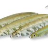 savage-gear-seeker-isp-87mm-16g-sahte-balik-86837.jpg Savage gear Seeker Isp 8.7cm 16gr Sahte Balık
