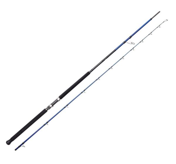 savage-gear-sgs6-shore-jigging-10-3-05m-60-150-gr-2-parca-90892.jpg Savage Gear SGS6 Shore Jigging 10'/3.05m 60-150 gr 2 Parça